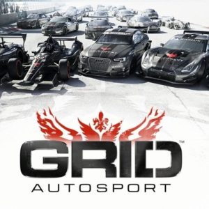 GRID Autosport US Steam CD Key