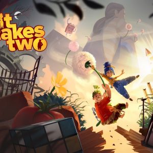 It Takes Two PS5 Account