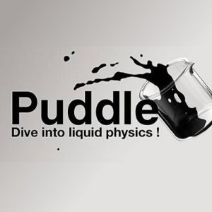 Puddle Steam CD Key